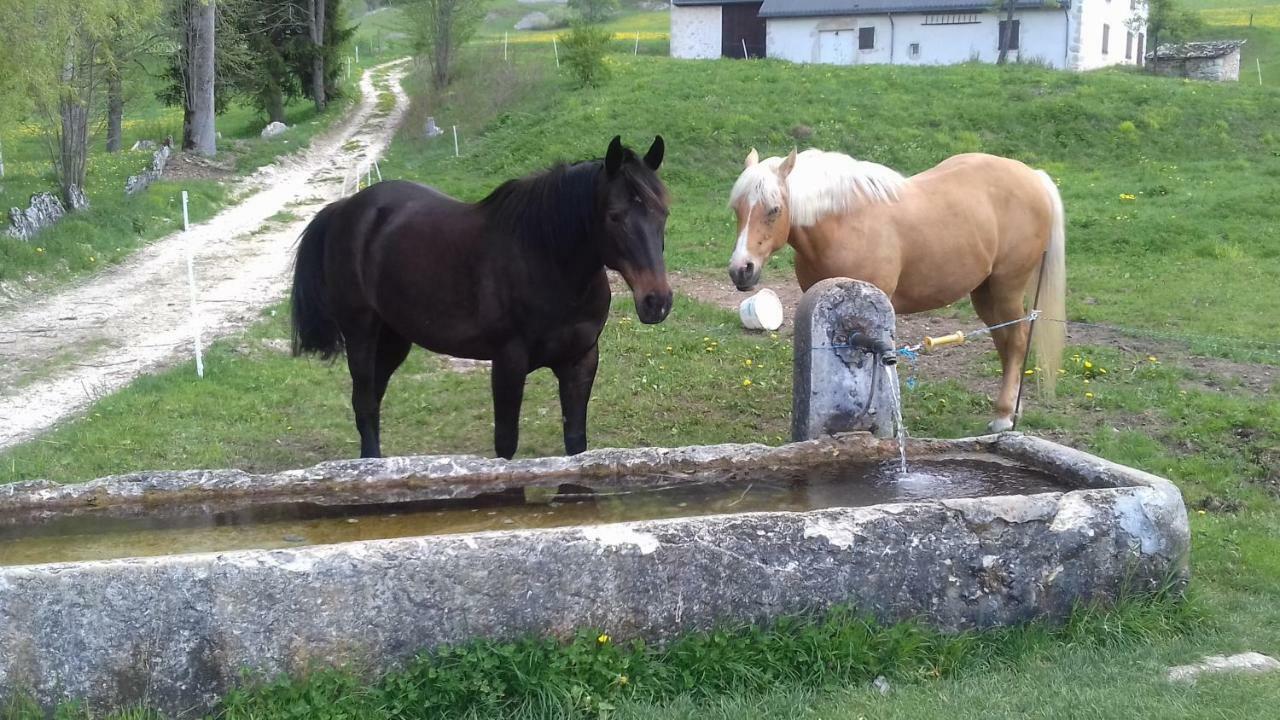 Gite Toukoul Autrans-Meaudre-en-Vercors Esterno foto